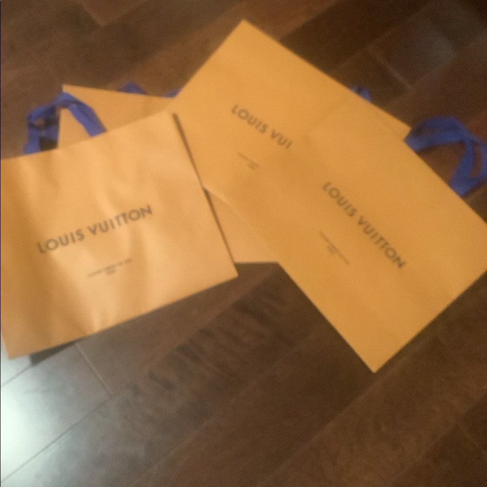 Louis Vuitton Gift Bag!